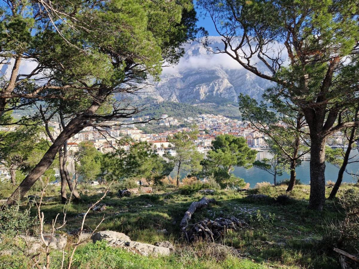 Apartment Villa Mirna Makarska Exterior photo
