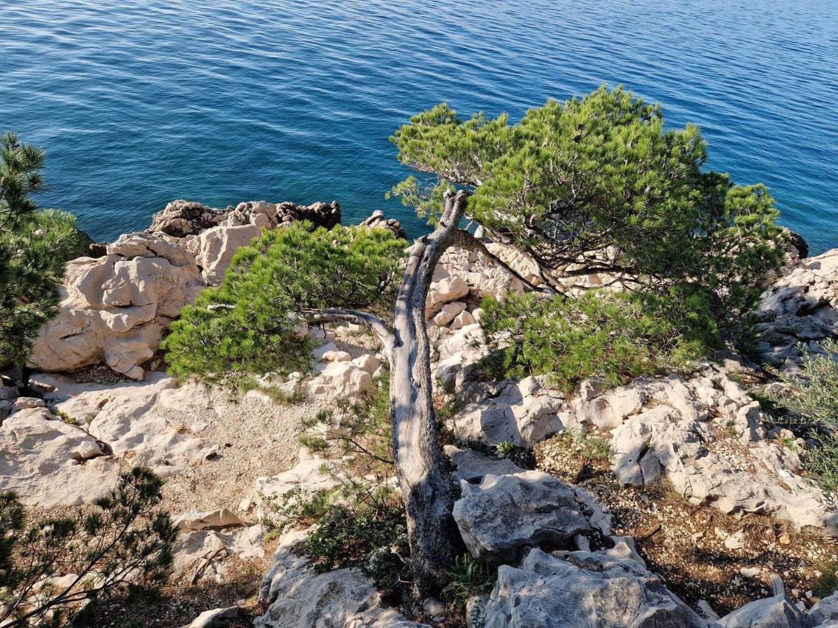 Apartment Villa Mirna Makarska Exterior photo